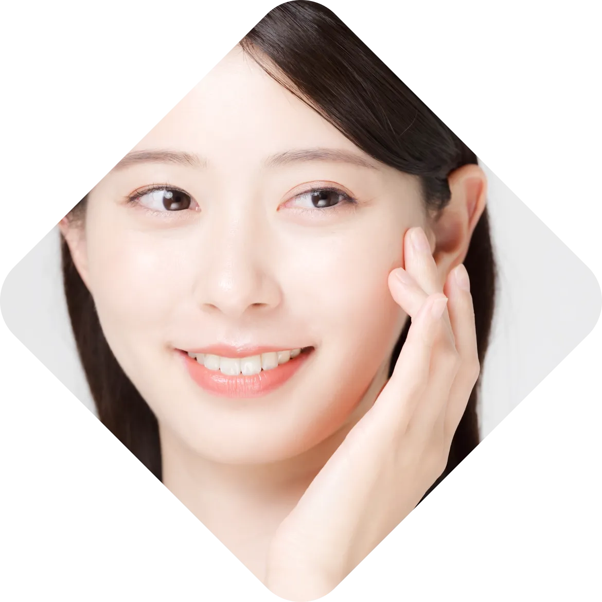 日本のお客様にもご愛顧いただいております